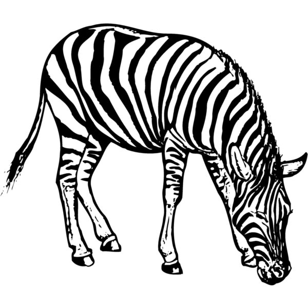 ZEBRA001 Vignette