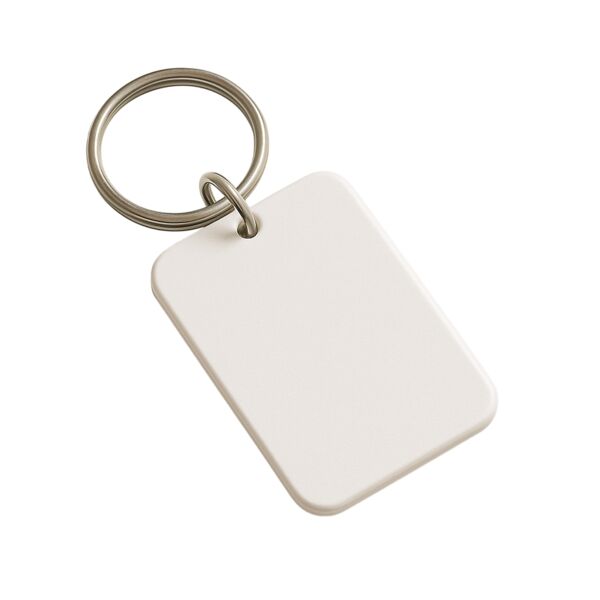 Portes clés Vignette