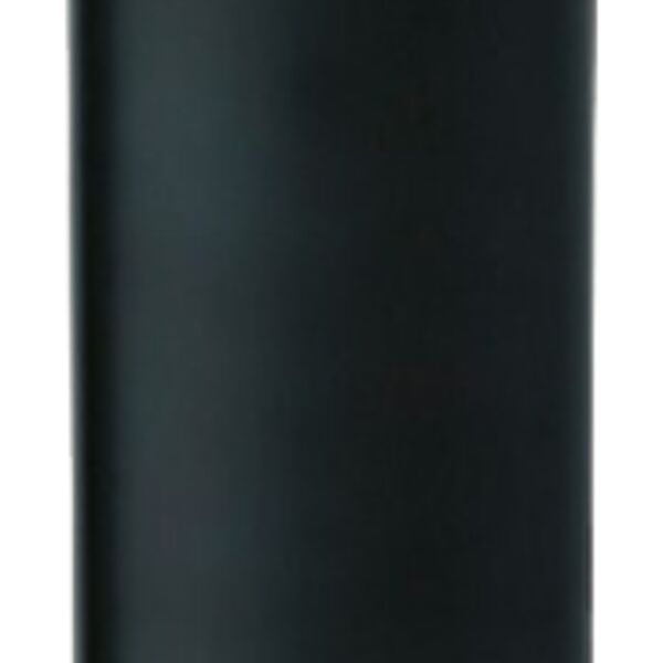 Briquet BIC maxi Vignette