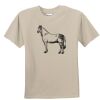 T-shirt col rond Vignette