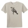 T-shirt col rond Vignette