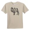 T-shirt col rond Vignette