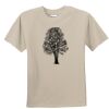 T-shirt col rond Vignette