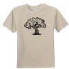 T-shirt col rond Vignette