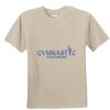 T-shirt col rond Vignette